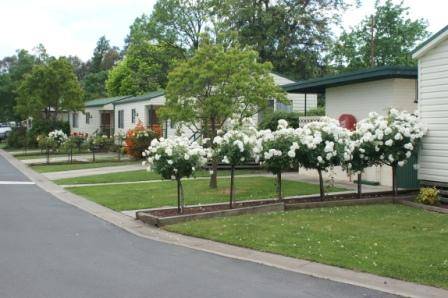 Wodonga Caravan & Cabin Park - New South Wales Tourism  0