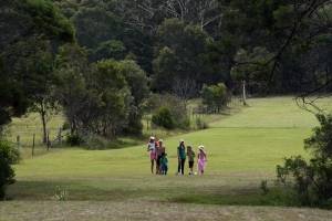 Woodbine Park Eco Cabins - New South Wales Tourism  0