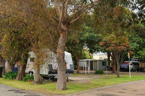 Woodbine Tourist Park - New South Wales Tourism  4