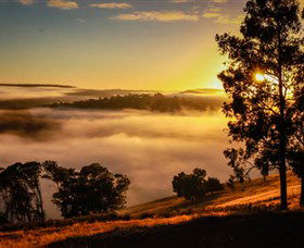 Balingup Heights Hilltop Forest Cottages - New South Wales Tourism  1