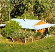 Cinnamon Coloureds Farmstay - New South Wales Tourism 