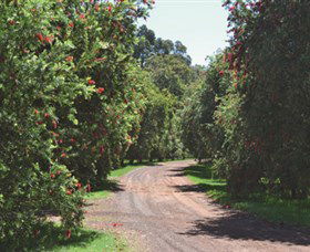 Margaret River Holiday Cottages - New South Wales Tourism  2