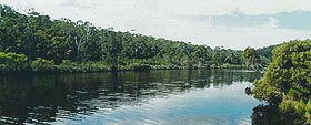 Nornalup Riverside Chalets - New South Wales Tourism  3