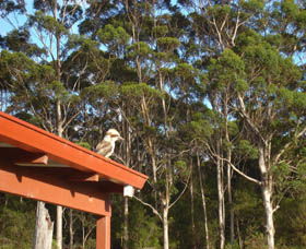 Tinglewood Cabins - New South Wales Tourism  3
