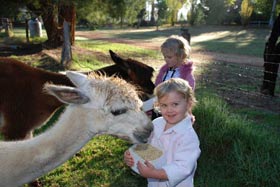 Treenbrook Cottages - New South Wales Tourism  3