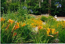 Warren River Resort - New South Wales Tourism  3