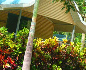 Litchfield Tourist Park - New South Wales Tourism  4
