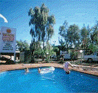 Wintersun Cabin and Caravan Park - New South Wales Tourism 