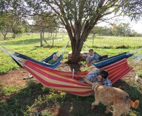 Childers Eco-lodge - New South Wales Tourism  1