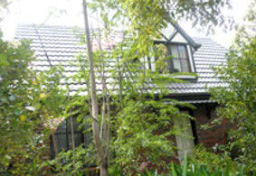 Wirilda And Cottage - New South Wales Tourism  5