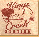 Kings Creek Station - New South Wales Tourism 
