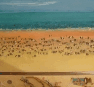 Monart Studio And Gallery - New South Wales Tourism  2