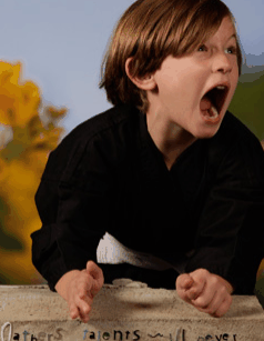 Turner Galleries - New South Wales Tourism  3