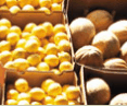 Brisbane Markets - New South Wales Tourism  0
