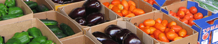 Brisbane Markets - New South Wales Tourism  3