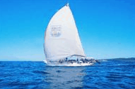 Manly Harbour Village - New South Wales Tourism 
