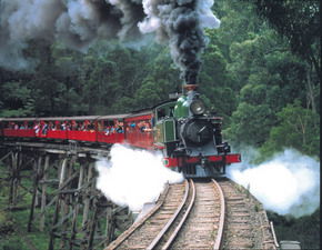 Puffing Billy - New South Wales Tourism  1