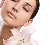 Stephanies Spa Retreat - New South Wales Tourism 