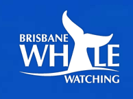 Brisbane Whale Watching - New South Wales Tourism  3