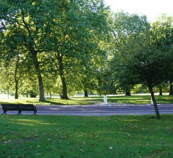 William Taylor Park - New South Wales Tourism  0