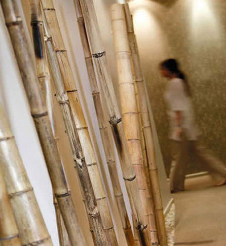 Spa Nirvana - New South Wales Tourism  0