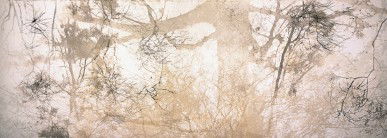 Dianne Tanzer Gallery & Projects - New South Wales Tourism  3