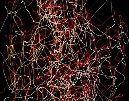 Eleven40 Gallery - New South Wales Tourism  1