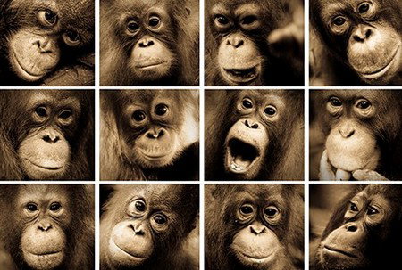 Eleven40 Gallery - New South Wales Tourism  3