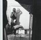 Brightspace - New South Wales Tourism  3