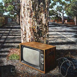 Chapman & Bailey - New South Wales Tourism  3