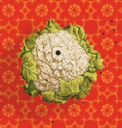 Artworld Tv - New South Wales Tourism  2