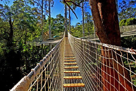 North Tamborine QLD New South Wales Tourism 