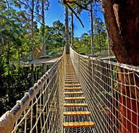 Thunderbird Park - New South Wales Tourism 