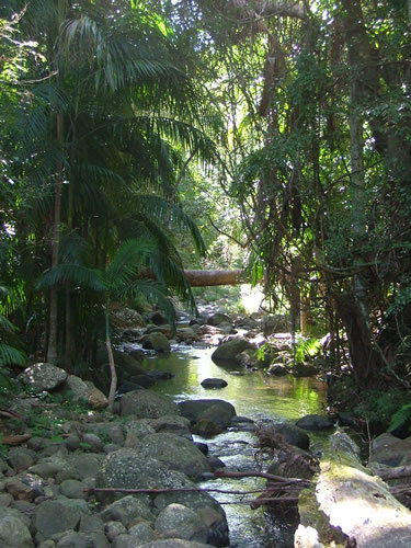 Thunderbird Park - New South Wales Tourism  2