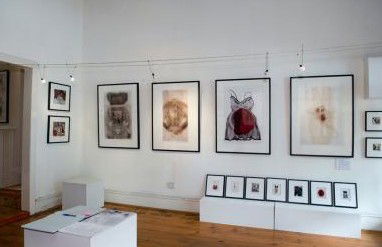 Bird's Gallery - New South Wales Tourism  1