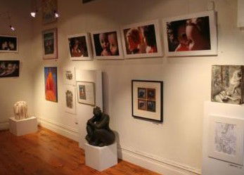 Bird's Gallery - New South Wales Tourism  2