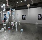 Nellie Castan Gallery - New South Wales Tourism 