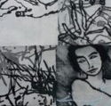 PG Printmaker Gallery - New South Wales Tourism 