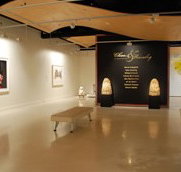 Counihan Gallery In Brunswick - New South Wales Tourism 