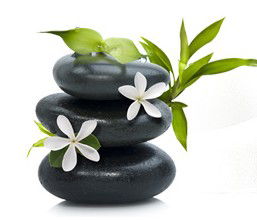 Tea House Spa Sauna - New South Wales Tourism  0