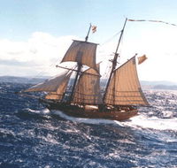 Enterprize - Melbourne's Tall Ship - New South Wales Tourism 