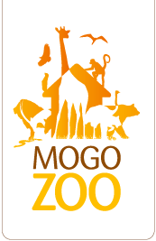 Mogo NSW New South Wales Tourism 