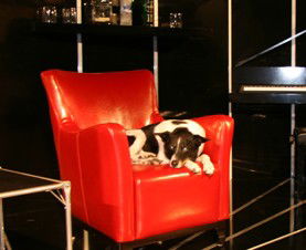 Woolloomooloo NSW New South Wales Tourism 