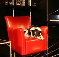 Old Fitzroy Theatre - New South Wales Tourism 