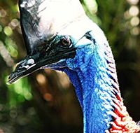 Alma Park Zoo - New South Wales Tourism 