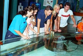 Underwater World - New South Wales Tourism  3