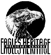 Eagles Heritage - New South Wales Tourism 