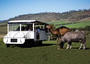 Zoo Doo Wildlife Park - New South Wales Tourism  2