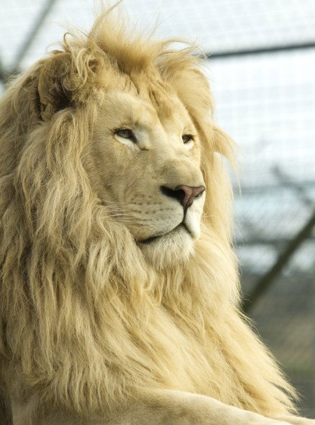 Zoo Doo Wildlife Park - New South Wales Tourism  3