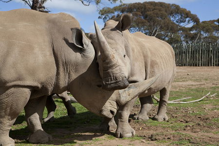  New South Wales Tourism 